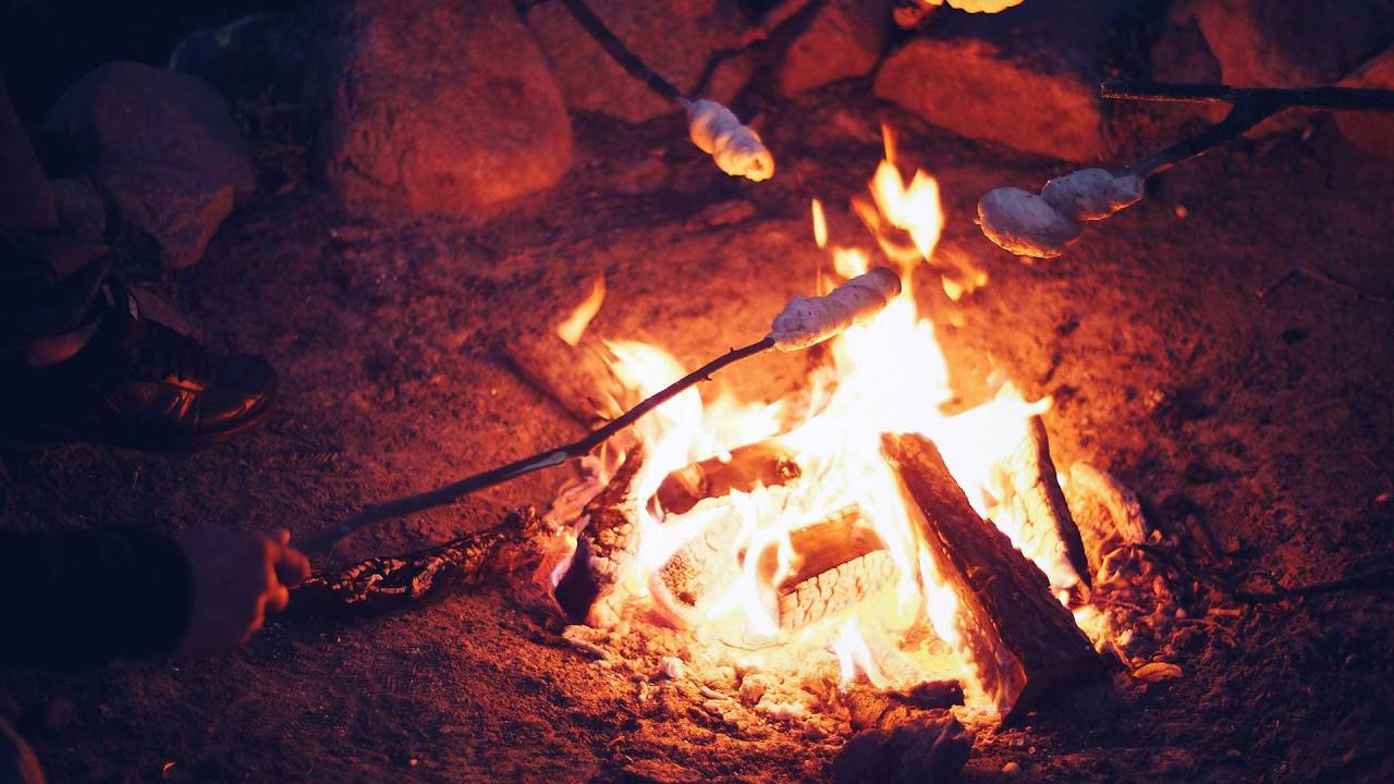 Scouts in het bos